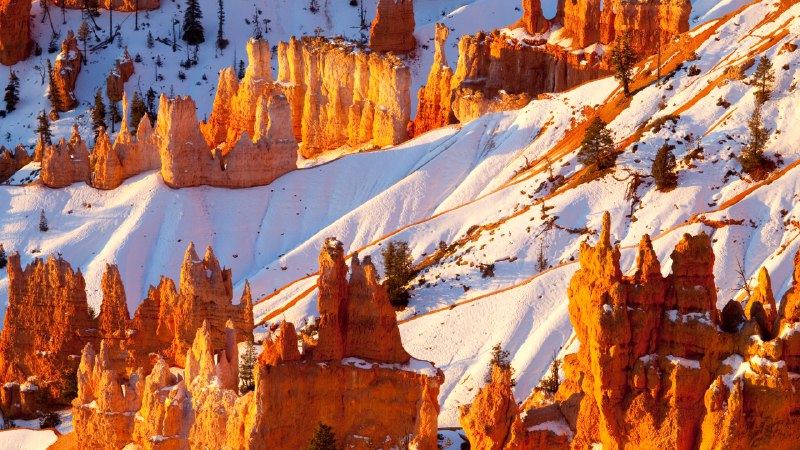 Hoodoo you do?Sandstone hoodoos, Bryce Canyon National Park, Utah (© Stephen Matera/TANDEM Stills + Motion)