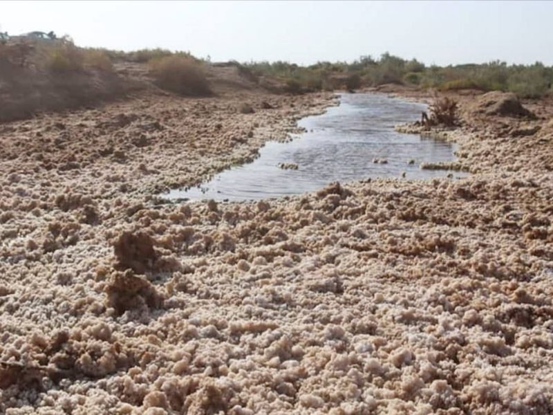 خبرتازه افغانستان: ✅آغاز استخراج معدن نمک در فراه با سرمایه‌گذاری ۱۰ میلیون افغانیروند استخراج یک معدن نمک در ولسوالی پشتکوه ولایت فراه با 