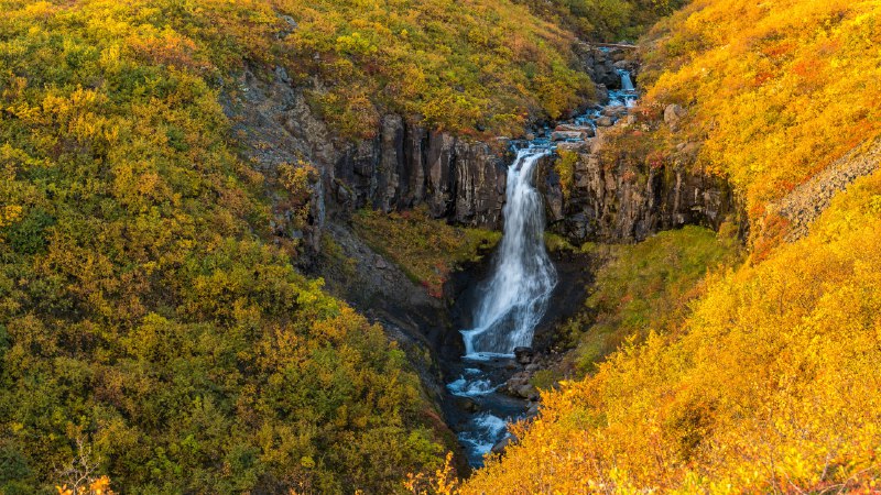 Falling for this view?Waterfall in Skaftafell, Vatnajökull National Park, Iceland (© Nopasorn Kowathanakul/Getty Images)