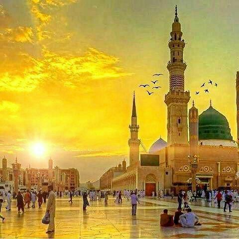 🍃شهرک ولیعصر محله مهربونی🍃: 🌷 پیامبر اکرم (صلی‌الله‌علیه‌وآله) :✍ مَنْ قَعَدَ فى مُصَّلاهُ الَّذى صَلّى فيهِ الْفَجْرَ ، يَذْكُرُ اللّه َحَتّى تَطْل
