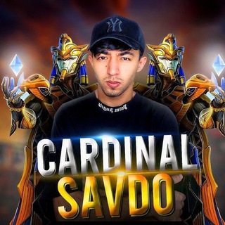 AKKAUNT VIDEOSI Telegram Group Link