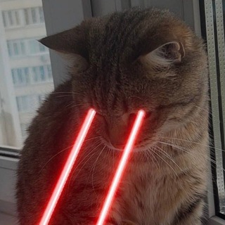 Telegram profile photo for культ мыси