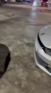 כוחות הכיבוש מסתערים על העיירה בירצייט, מצפון לרמאללה.