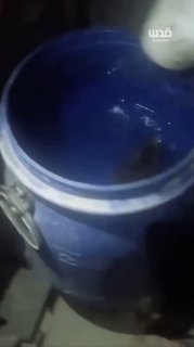 קרב הישרדות יומיומי... מכרסמים משמידים את המזון והמים שנותרו לעקורים בעזה