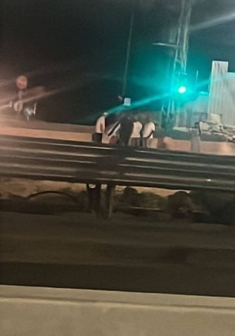 רשת חדשות ירושלים