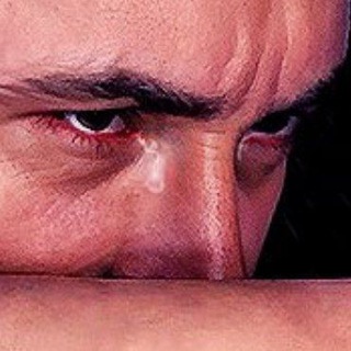 🐺 Kroc Blanc 🐺 Telegram Group Link