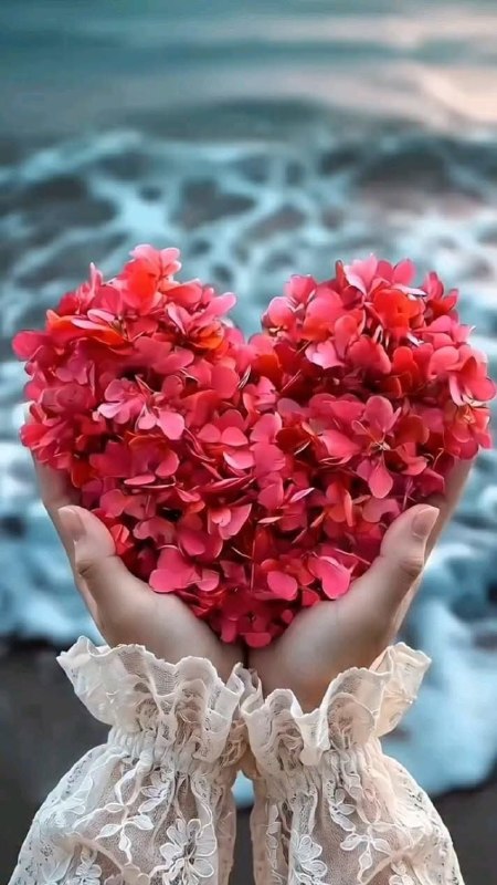💞پندانه💞: امروز از باغ محبت🌸🍃یه سبد مهر براتون آوردمالهی عطر خوبشمهمون دل‌هاتون باشه🌸🍃درود صبحتون به زیبایی گل‌ها 🌸🍃