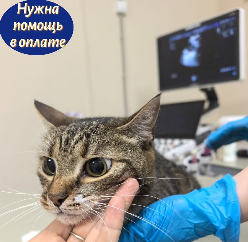 Дорогие друзья, сегодня у нашей Маркизы важный день -...