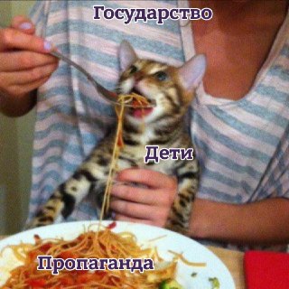 Новый предмет «Духовно-нравственная культура России» введут для учеников пятого-седьмого классов со следующего учебного года, сообщили в Минпросвещения.Он будет изучаться со второго полугодия 2026/27 учебного года в пятых классах (курс — 17 часов), а с 202