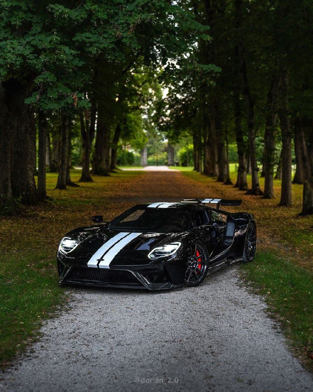 Ford GT 6