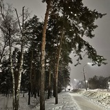 Жанна Бор | гербарий слов