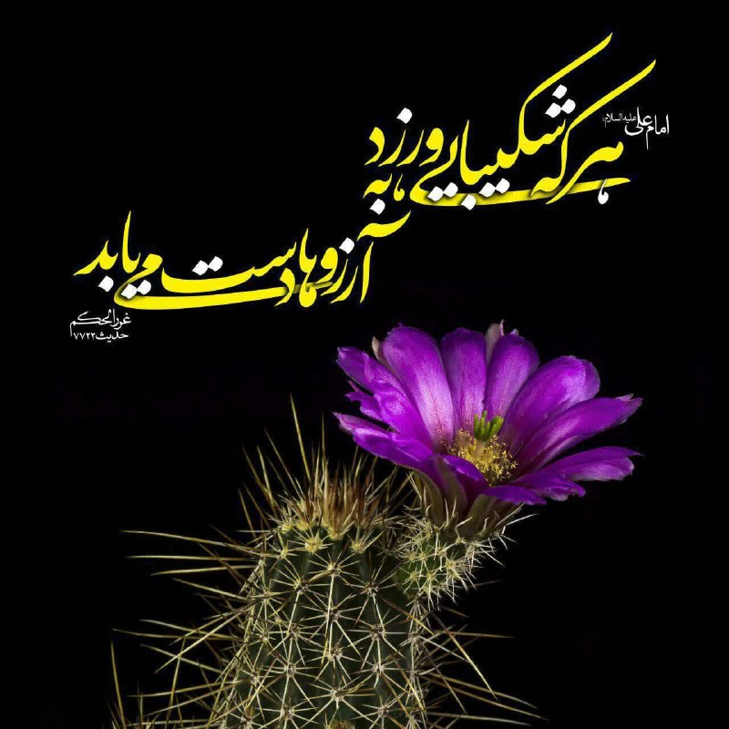 هفتهنامه مهرمیهن: 📆 امروز شنبه☀️ ۳۱ مرداد ۱۴۰۵🌙 ۰۹ ربیعالاول ۱۴۴۷🎄 ۲۲ آگوست ۲۰۲۶🌺 حدیث روزامیرالمؤمنین علی عليهالسلام: هر كه شكيبايى ورز