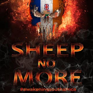 Chat About South Africa DECLAS Telegram Group Link