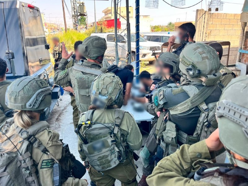 ניצן שפירא