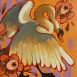ᯓ°❀⋆ 𝙸𝚗𝚏𝚘 •. ❀⋆