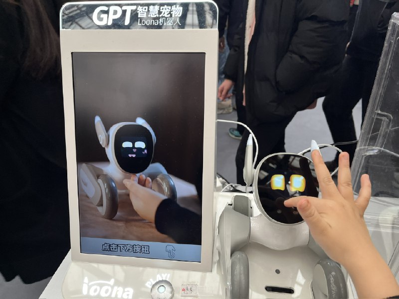 家长和小孩最多，主要还是看小朋友们在玩各种硬件、机器宠物和 3D 打印