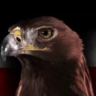 Telegram profile photo for GlobalPatriots