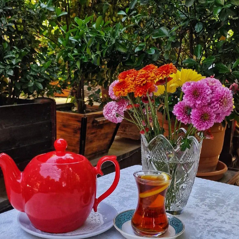 彡 🥰 طَِنَِزَِ🤪گَِیَِفَِ🙃اَِسَِتَِیَِکَِرَِ☺َِ️َِکَِلَِیَِپَِ عَِاَِشَِقَِاَِنَ 彡: سلام. صبح بخیر💐💐💐💐💐❤️❤️❤️❤️