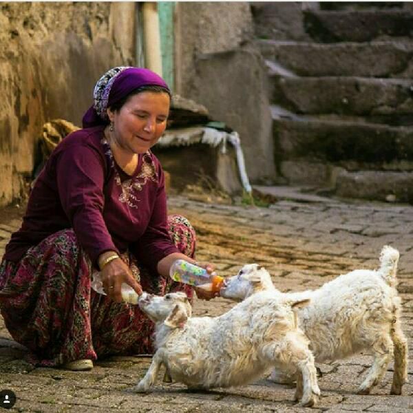 عرفان: به کسانی که دلشانگرفته ولی گلایه نمی‌کنندخسته اند و شِکوه نمی‌کنندمنتظرند و هنوز پاسخی نرسیدهولی مٶدبانه ناظرند بر حکمتِ