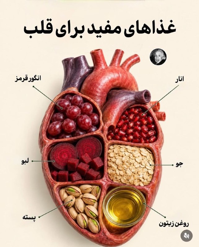 پارسبان: #سلامتی غذاهای مفید برای قلب🌸🫂@farsbo
