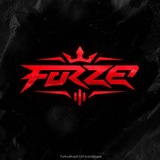 Forze Organization