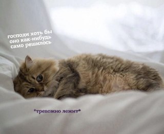 Тревожники на месте? Держите пару советов, как успокоить свой ум и больше доверять интуиции: https://lentach.media/Kzgcz