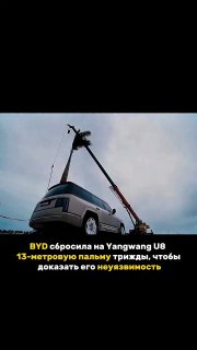 43-футовую (13 метров) пальму трижды обрушили на Yangwang U8… и автомобиль вышел