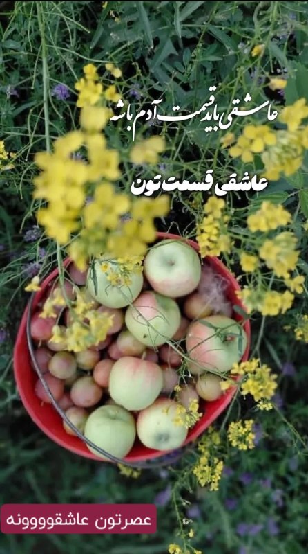 💓خوشگلترین عکس نوشته و استوری پاییزی اینستایی،آهنگ، کلیپ،ویدیو موزیک ،عکس انگیزشی،دعا،شکرگزاری ، صبح وعصر و شب بخیر،تولد، 💓: سختترین قسمت بلاتکلیفی اینه که نه میتونی دل بکنی، نه میتونی با خیال راحت بمونی ...#عصر_بخیر... ☕️🌿🌸@mersikehastiyproسخت