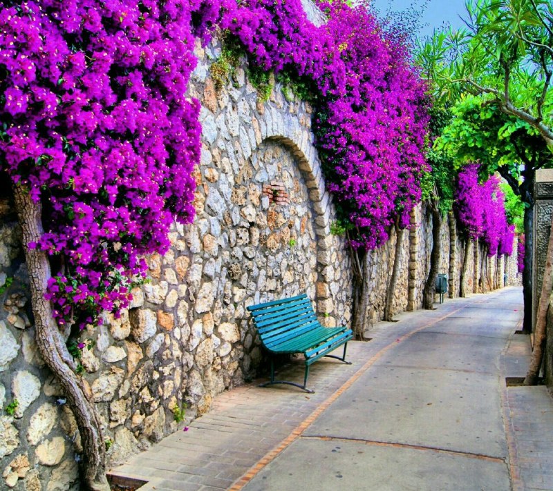 پل ارتباطی💕💗: پرسیدندانسانیـت چیسـتعالمی گفت:تواضع در وقت رفعت!عفو هـنگام قدرت!سخاوت هنگام تنگدستی!و بخشـش بدون منت...!☘❣🌸