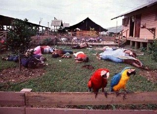 Two parrots on the fence of Jonestown, the ideological community of the religious organization “Peoples Temple,” where more than 900 of its members tragically died in 1978.Time Machine | Historical Photo