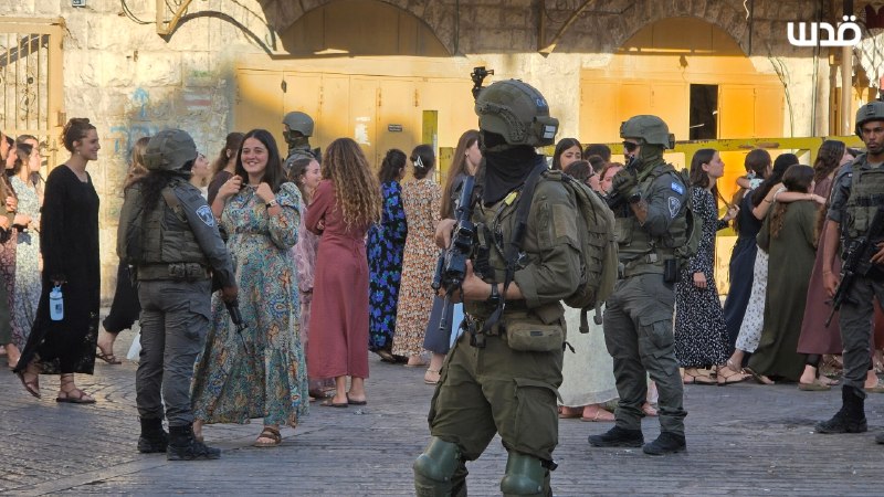 Guarded by the occupation soldiers... the weekly raids of settlers in old Hebron.