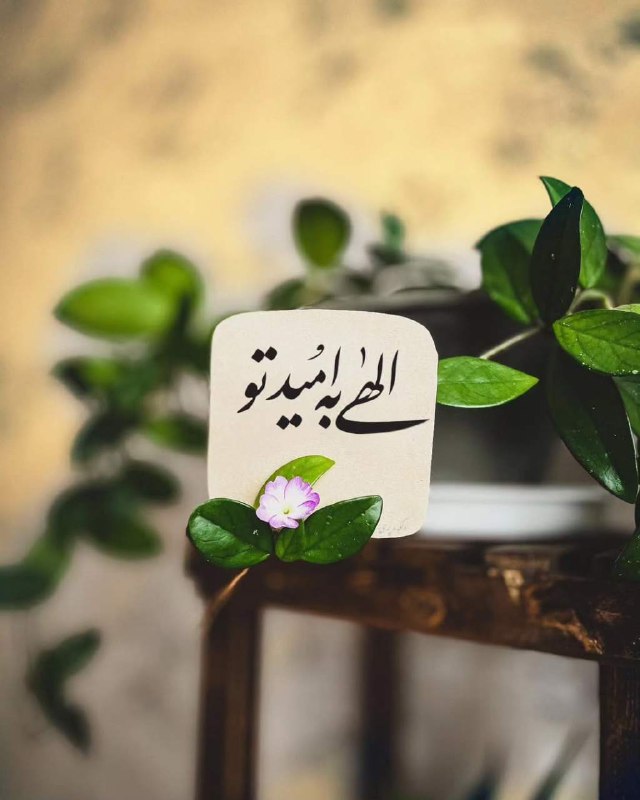 ❣️ دل‌نوشته‌ها: البته ندا اومد. تو نه. شمااا😅😅😅