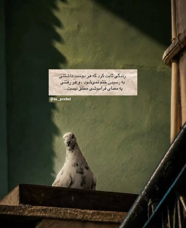 AxProfile | عکس پروفایل: · · ─ @ax_proftel ─ · ·