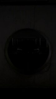 https://t.me/bmw_mpower_club