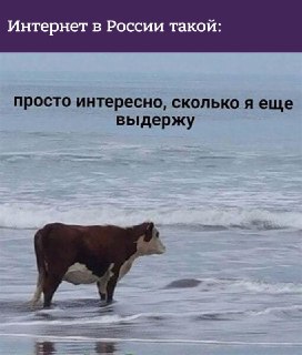 В рунете опять кто-то что-то сломал — пользователи по всей России жалуются на сбои в работе целой кучи сервисов и сайтов, свидетельствуют данные портала Downdetector.  Также фиксируются проблемы с доступом к интернету в Петербурге, Нижегородской, Ростовско