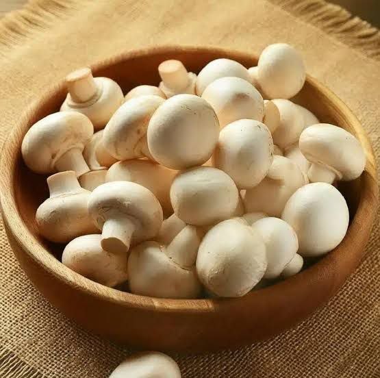 ایلام بیدار: 🍄 قارچ فقط جایگزین گوشت نیست🔹 قارچ‌ها علاوه بر طعم خاص، حاوی فیبر، ویتامین‌ها و مواد معدنی مختلف هستند. اما ارزش غذایی آ