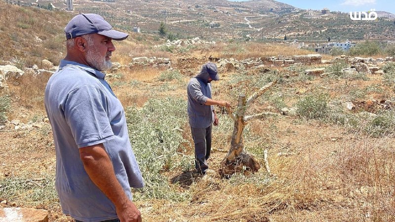 רשת חדשות ירושלים