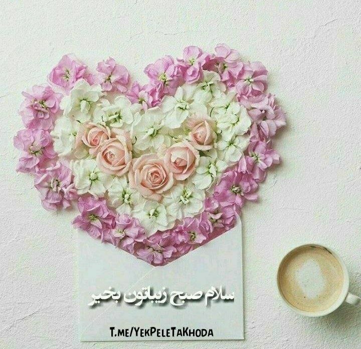 ۞یک پله تا ملاقات خدا۞: 🌹 @YekPeleTaKhoda🌷دوشنبه تون زیباتر از هر گل 🌼پــــروردگــــارا🌷نا امیدے‌ را خـط بـزن🌼و عشق و امید را بـر مـا🌷ببخش و تقد