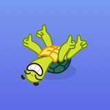Cuddly Turtle R2 2026