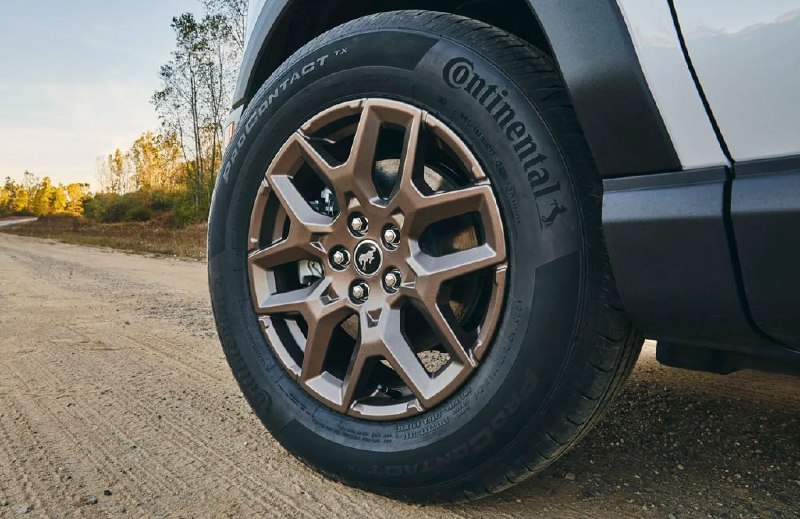 Ford Bronco Sport получил бронзовую версию 4