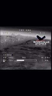 מפעיל הכטב"מ FPV שלנו פגע בציפור יבשת אוזניים בשיחים בלילה. כשאתם מתיישבים בין השיחים בחזית בלילה, היו מוכנ…