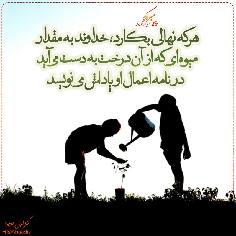 🌷در جستجوی شهدا 🌷: 🌺🍃💞 #پيامبر_اکرم (ص):🍃هر كه نهالى بكارد ، خداوند به مقدار ميوه اى كه از آن درخت به دست مى آيد ، در نامه اعمال او پاداش م