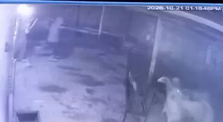 מתנחלים גונבים כבשים מאזור אל-ריחניה במסאפר יטא, דרומית לחברון.