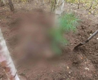 Девушка погибла в результате нападения медведя в Республике Алтай, прокуратура проводит проверку.  «Отдыхали на туристической базе в палатке. Пришел медведь, вытащил девушку из палатки, утащил в лес, объел все конечности и прикопал. Девушка скончалась. Пыт