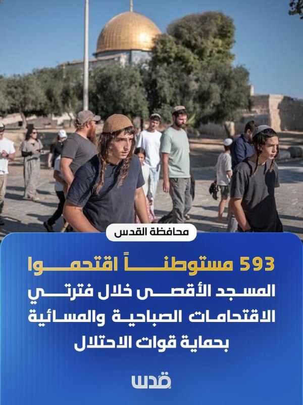 נפת ירושלים: 593 מתנחלים הסתערו על מסגד אל-אקצא המבורך במהלך פשיטות הבוקר והערב, בחסות כוחות הכיבוש.