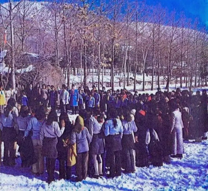 محله آنلاین: اردوی پیشاهنگی منظریه، دختران در حال سوگند پیشاهنگی دهه 50#عکس_قدیمی_شمیران #محله_آنلاین @mahallehonline