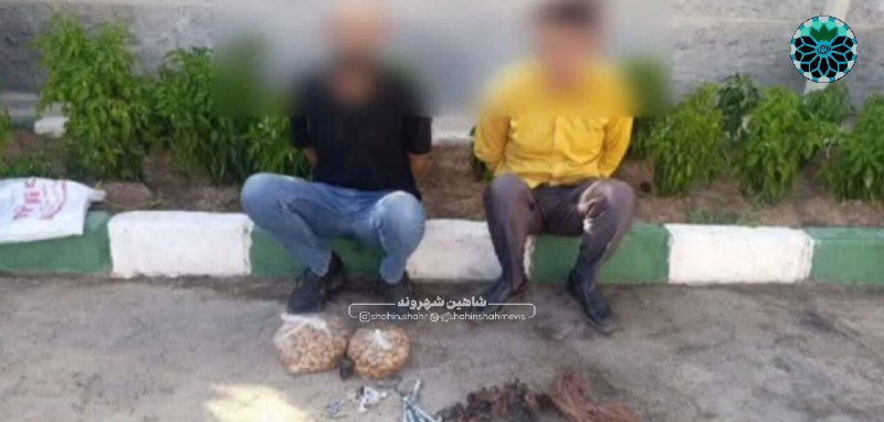 شاهین شهر وند: 📌دستگیری ۲ سارق کابل برق و محصولات باغی در حوزه مورچه خورت 🔹در عملیات مأموران انتظامی پاسگاه #مورچه_خورت دو سارقی که در 