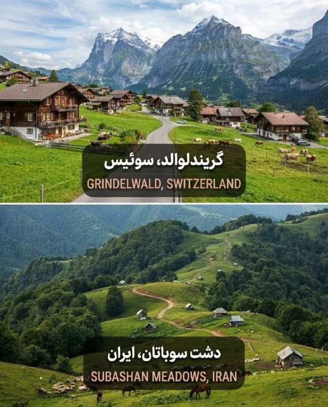 تحلیل زمانه: آنچه خوبان همه دارند تو یکجا داری#تحلیل_زمانه 🌍 @TahlilZamaneآنچه خوبان همه دارند تو یکجا داری#تحلیل_زمانه 🌍 @TahlilZama