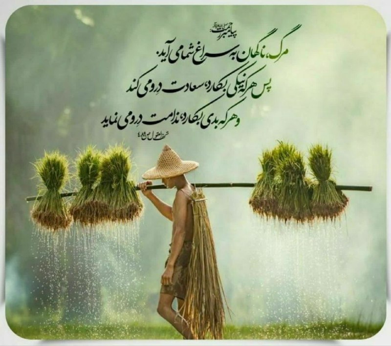 صبح رابر: 💠پیامبر اکرم صلی الله علیه و آله:مرگ، ناگهان به سراغ شما می آید. پس هر که نیکی بکارد، سعادت درو می کند و هر که بدی بکارد
