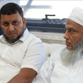 Telegram profile photo for قناة: محمد إلهامي